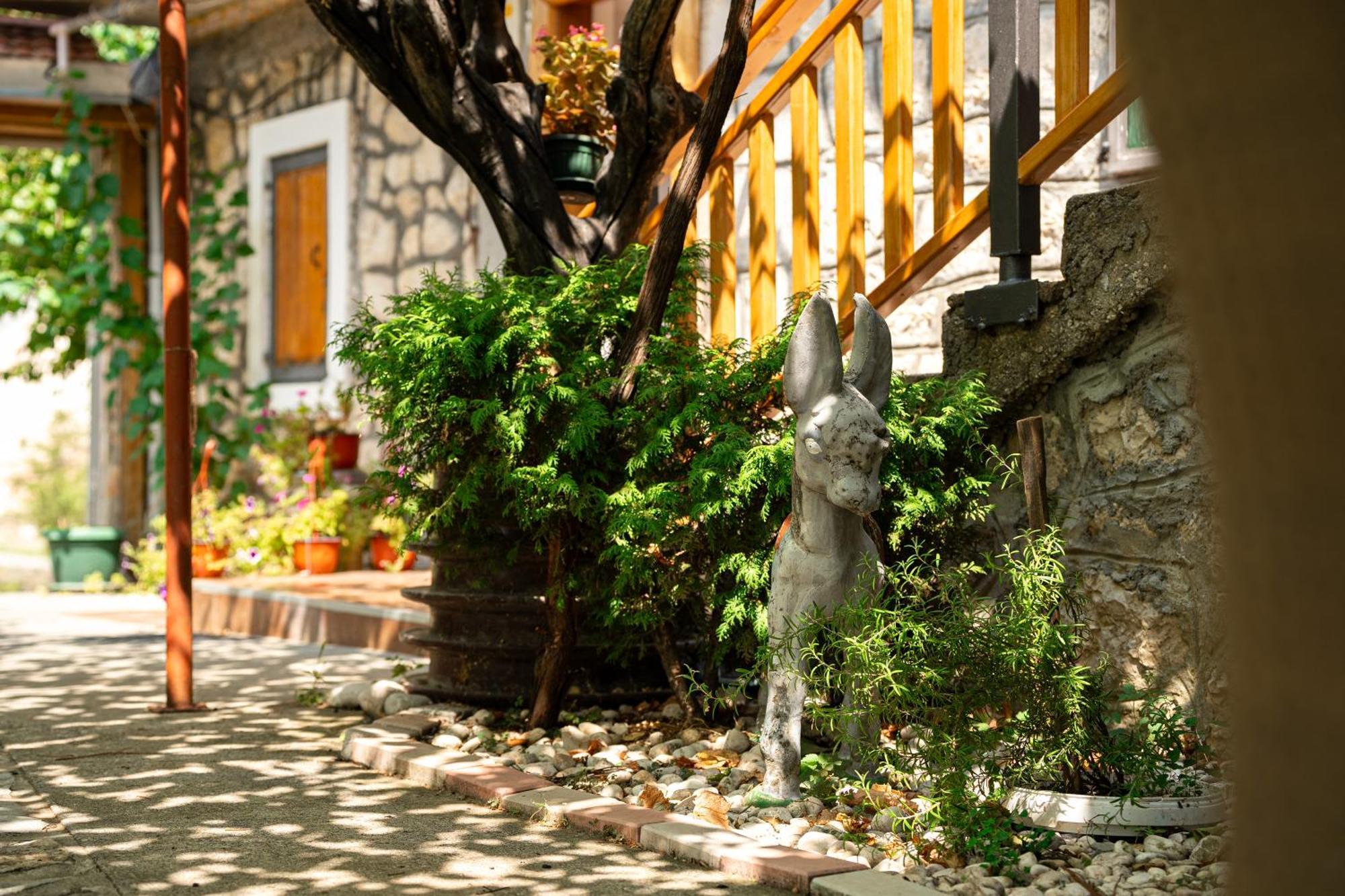 Old House Kontic Nikšić